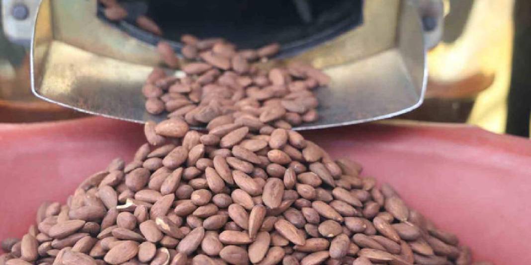 Kilolarca değil tonlarca satıldı: ‘Beyaz altın’ rekor talep gördü 2